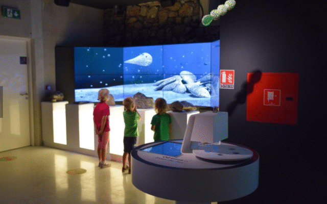 Snimka zaslona 2025-05-30 140838