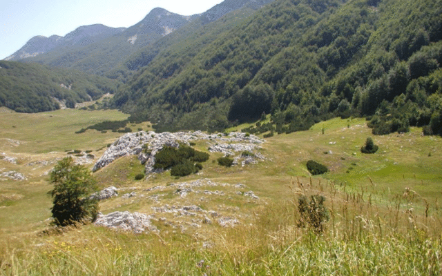 Snimka zaslona 2025-05-31 104625