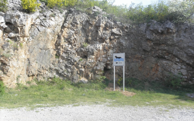 Snimka zaslona 2025-05-31 115724