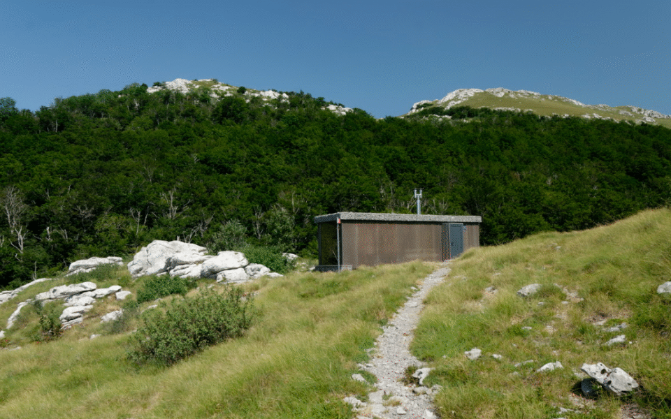Snimka zaslona 2025-06-01 130246