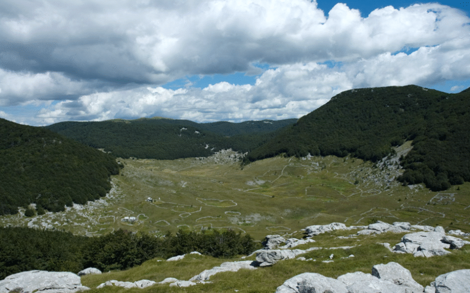 Snimka zaslona 2025-09-24 141734